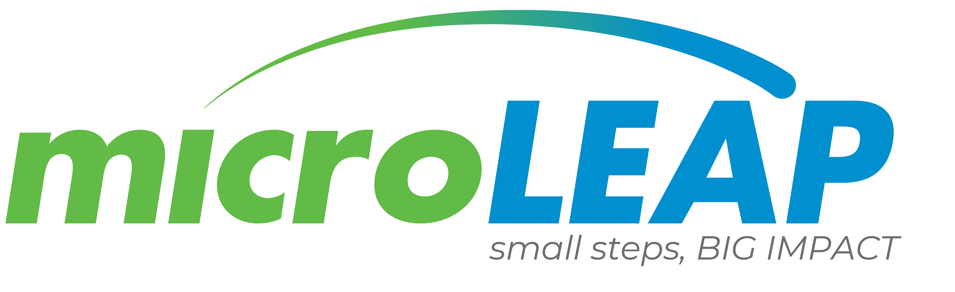 MicroLEAP